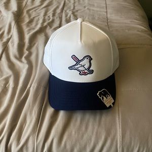 Brand new never worn. Normal Brand adjustable hat